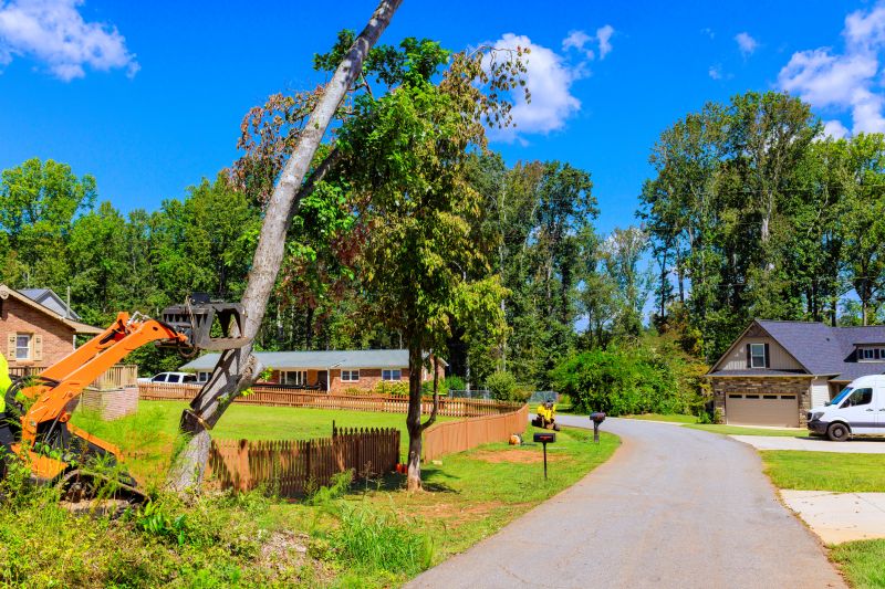 Material Picks that Last